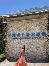 【沖繩】美麗海水族館：靚沙灘、壯觀落地玻璃，適合情侶散步享受！