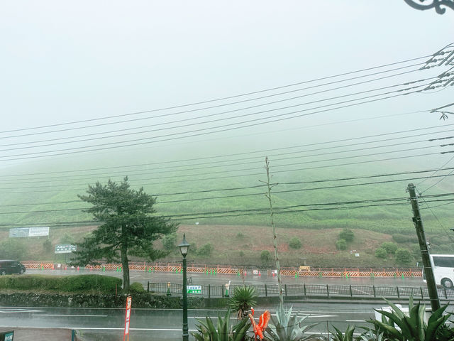 【伊豆大室山】詩意靜岡、東京🗼近郊的難忘體驗