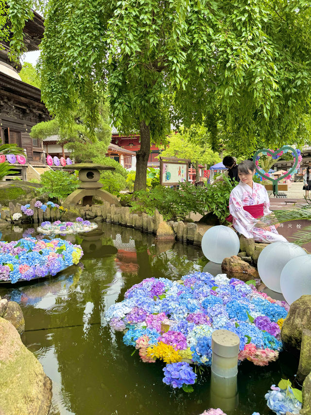 〜茨城県〜7/7まで！絶景すぎるあじさい池✨
