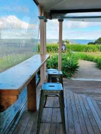 🇦🇺 Popular Neighbourhood Cafe in Witta, Queensland