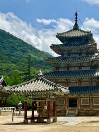 역사의 흔적이 느껴지는 🌟불교의 보물이 많은 🏞️ 충청북도 속리산 사찰여행지 추천