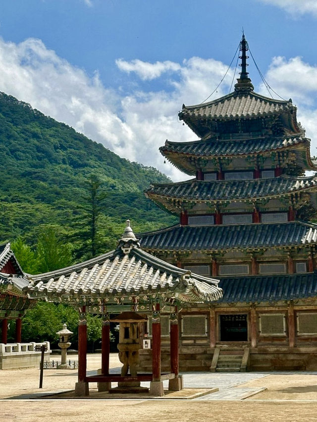 역사의 흔적이 느껴지는 🌟불교의 보물이 많은 🏞️ 충청북도 속리산 사찰여행지 추천