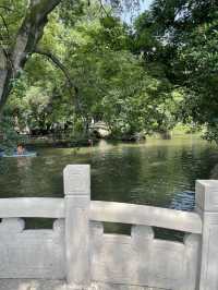 🌿🚣‍♀️  漫步成都人民公園，體驗當地人的生活🌸🎶