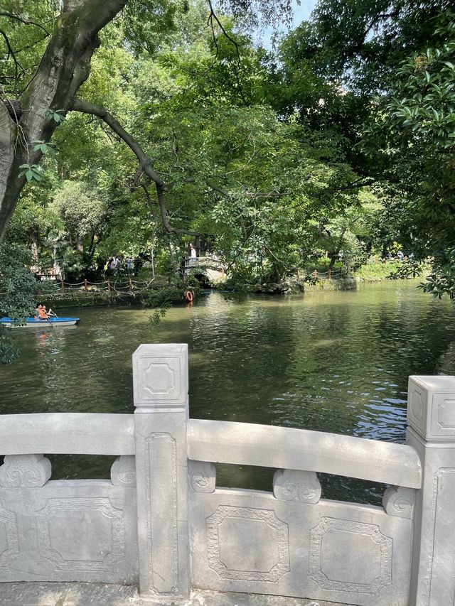 🌿🚣‍♀️  漫步成都人民公園，體驗當地人的生活🌸🎶