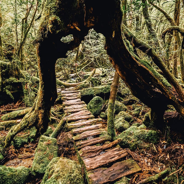 เกาะมรดกโลกทางธรรมชาติของญี่ปุ่น 