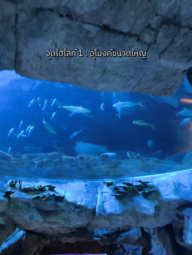 ท่องโลกใต้ทะเลที่ The Grand Aquarium Hong Kong 🐡