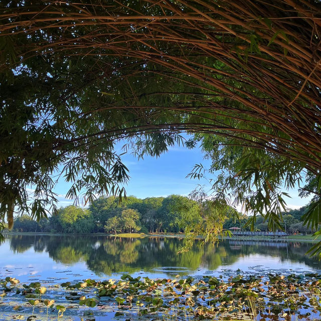克蘭芝濕地🌾風光如畫