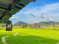 🌳จุดชมวิวเขาหล่น🍃 สะพานทุ่งนา 🌾