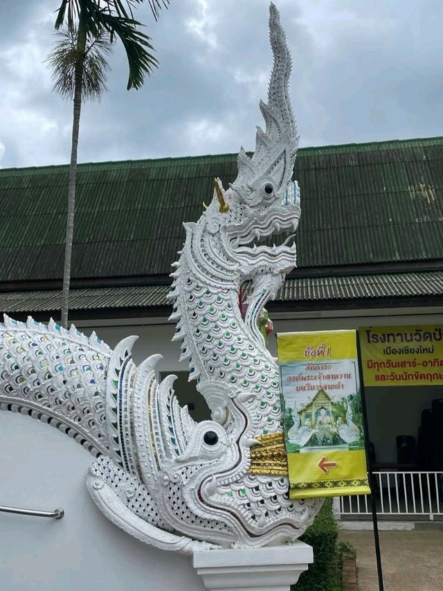 พิกัดสายมู ขอพรพระพิฆเนศ 📍วัดป่าแดด เชียงใหม่