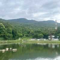 Isn’t it the best place to live? 