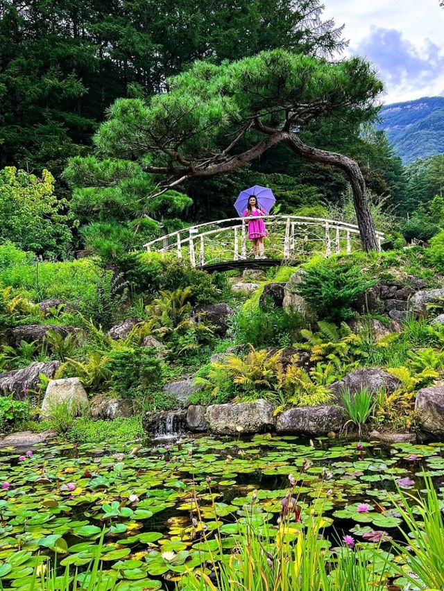 The Magical Garden of Morning Calm 🌸✨🇰🇷