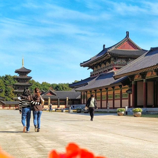 Tranquility at Chungcheongnam-do, South Korea 🇰🇷🌿