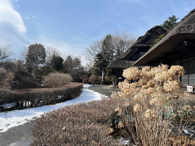 日本忍野八海有着传统草屋、缓慢转动的水车以及令人惊艳的富士山风景