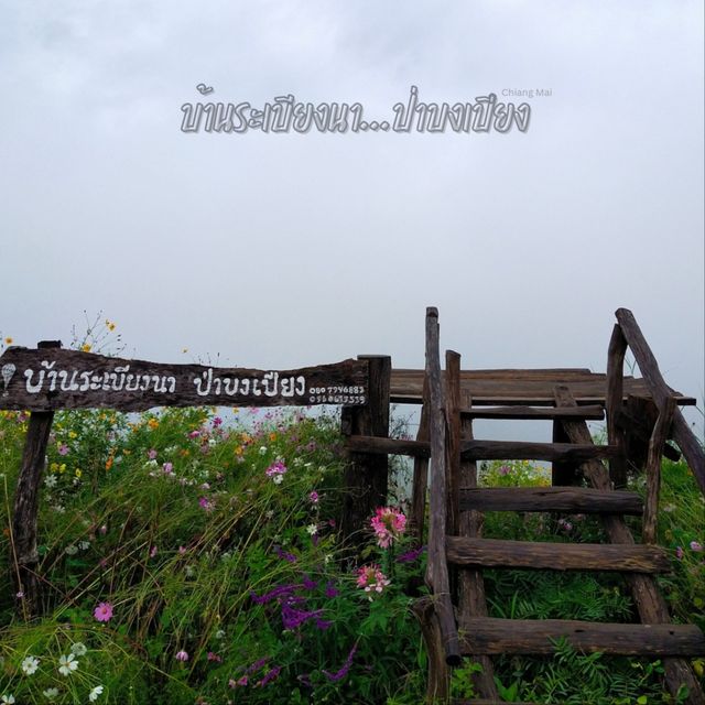 บ้านระเบียงนา..ป่าบงเปียง