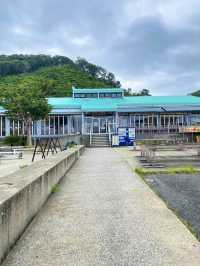 【南房総】地魚好きに行ってほしいお店