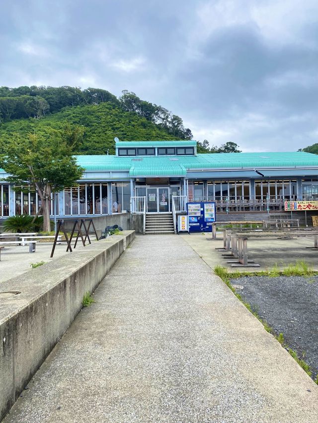 【南房総】地魚好きに行ってほしいお店