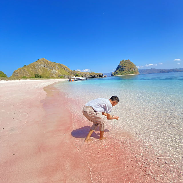 Stunning view of pink sand beach