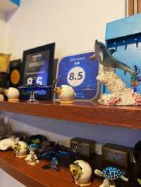 Hotel “under the sea” in Malé🐟🐬🐳