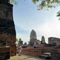 Divine Encounter: The Sacred Buddha Head Entwined in Banyan Roots