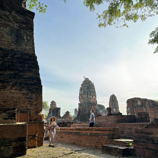 Divine Encounter: The Sacred Buddha Head Entwined in Banyan Roots