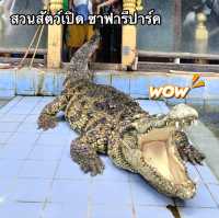 สวนสัตว์เปิด ซาฟารีปาร์ค กาญจนบุรี