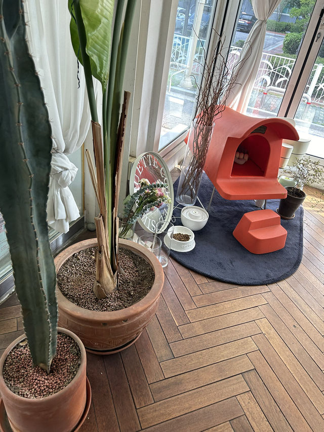 【韓国/合井】🍉💓🐶路地にオシャレな白基調の可愛いカフェ☕️