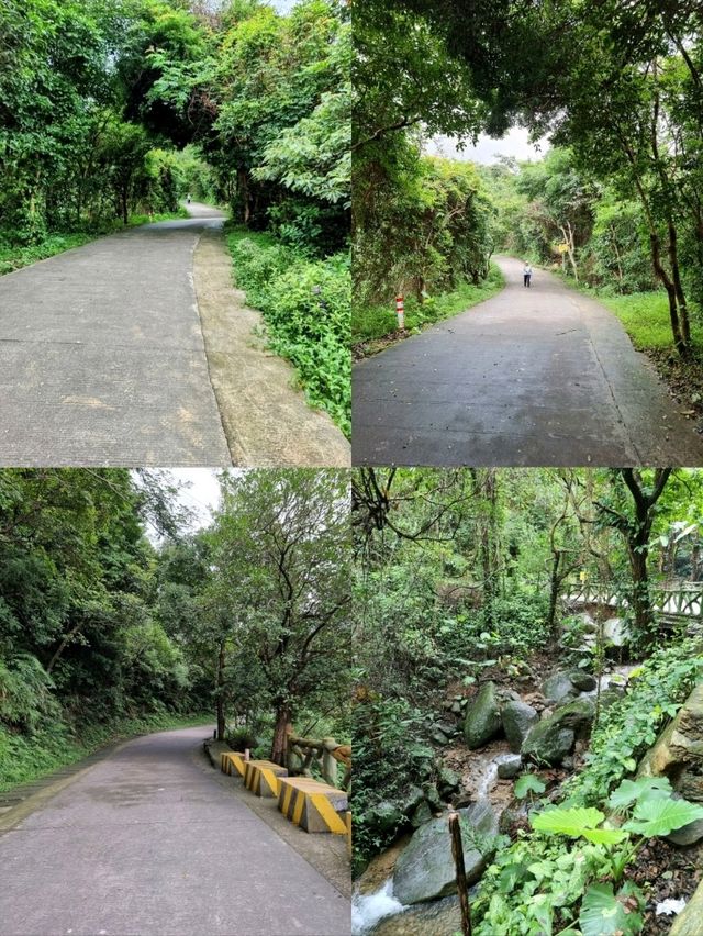 🇨🇳 Fastest Route to the Summit of Wutong Mountain, Shenzhen