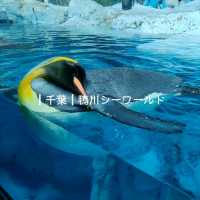 【千葉】雨でも楽しめる水族館