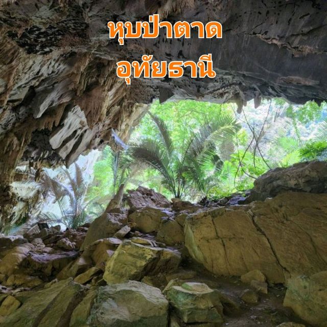 ⏱️ย้อนเวลาสู่โลกดึกบำบรรพ์ "หุบป่าตาด"