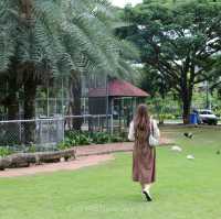 Pet Friendly เอาใจคนรักกระต่ายและนกโดยเฉพาะ