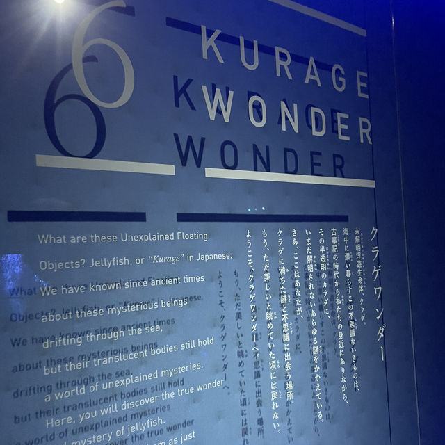 京都水族館がリニューアルしてクラゲ好きにはたまらないスポットに！！