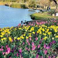 City Park: New Orleans’ Green Oasis
