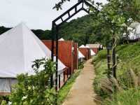 วิวกับหมอกที่ม่อนแจ่ม ต้องจริต Glamping เท่านั้น! 
