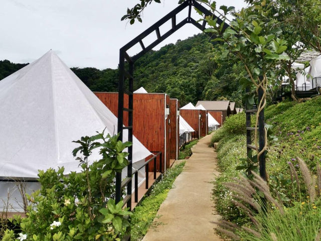 วิวกับหมอกที่ม่อนแจ่ม ต้องจริต Glamping เท่านั้น! 