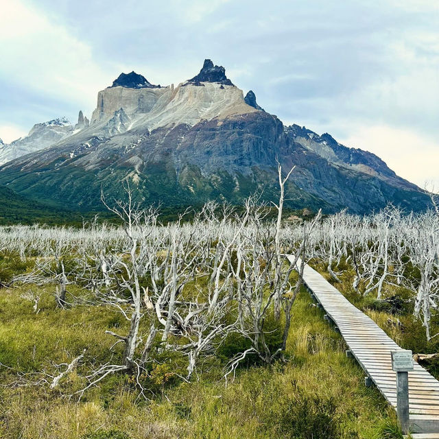 Patagonia’s Majestic Torres del Paine National Park