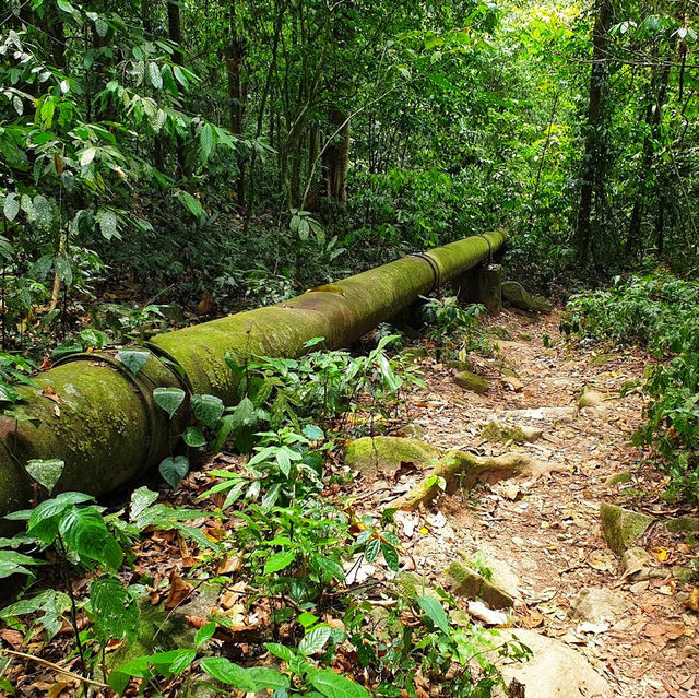 🇲🇾 Lepoh Waterfall: Your Next Forest Adventure!" 