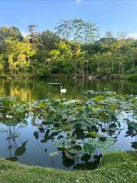 🌳InterContinental Khao Yai Resort