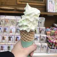 ［釜山］探索色彩繽紛的甘川文化村