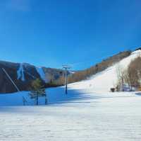 札幌國際滑雪場：冬季運動的夢幻之地⛷️❄️🏔️