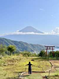 Perfect glimpses of Fuji-yama! 