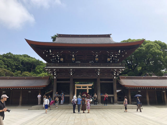 ［東京］森林中的明治神宮