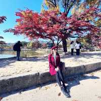 Colorful Autumn Of Gyeongbokgung Palace In Seoul 