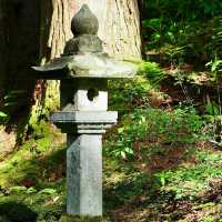 八阪神社：歷史文化的交匯點 ⛩️🌸