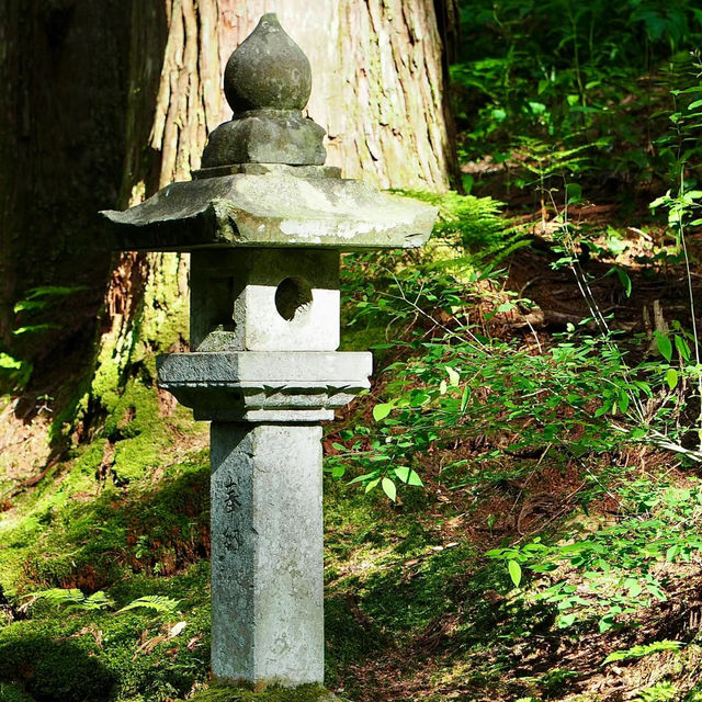 八阪神社：歷史文化的交匯點 ⛩️🌸
