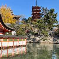 【広島】🇯🇵 嚴島神社