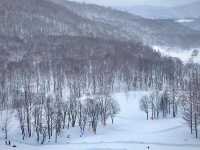 กิจกรรมฉ่ำ คุณภาพหิมะดี…เบอร์นี้☃️ต้องที่ Kiroro 