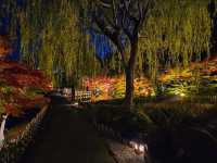 【名古屋】日本庭園の中で見る奥ゆかしい紅葉🍁