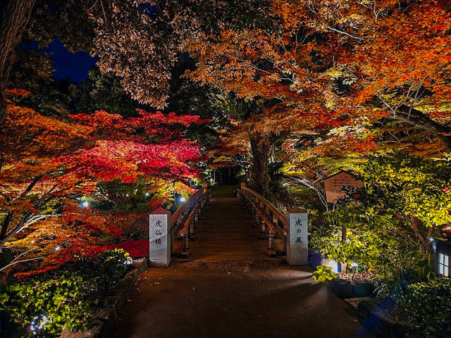 【名古屋】日本庭園の中で見る奥ゆかしい紅葉🍁
