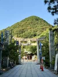 【福岡県】美しい「光の道」の光景