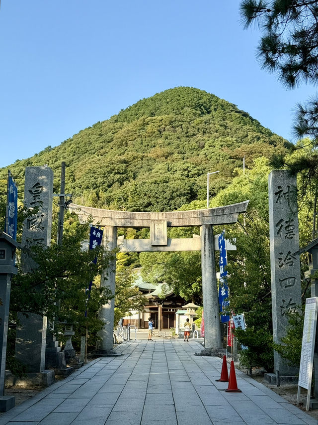 【福岡県】美しい「光の道」の光景